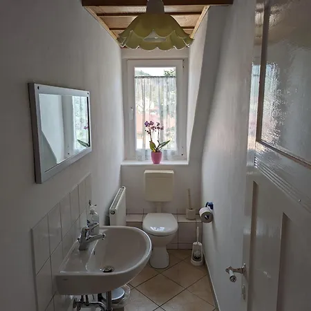 Apartment Langer